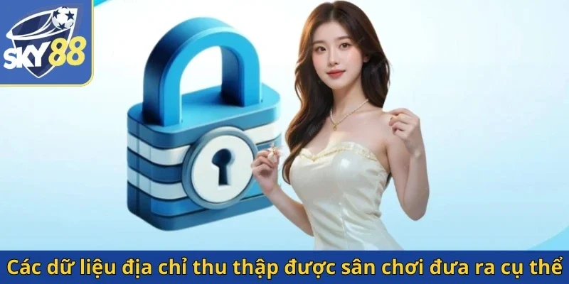 cac-du-lieu-dia-chi-thu-thap-duoc-san-choi-dua-ra-cu-the