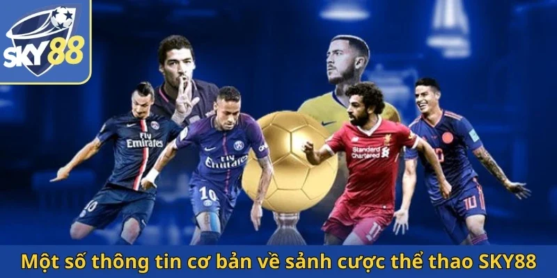 mot-so-thong-tin-co-ban-ve-sanh-cuoc-the-thao-sky88