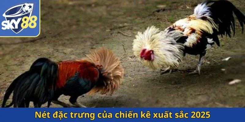 net-dac-trung-cua-chien-ke-xuat-sac-2025