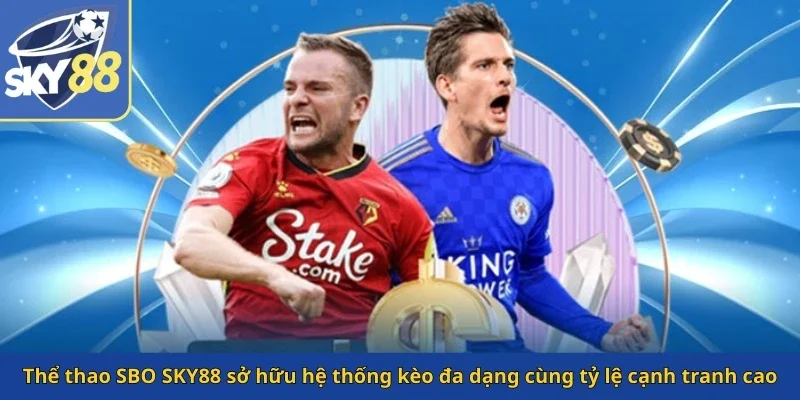 the-thao-sbo-sky88-so-huu-he-thong-keo-da-dang-cung-ty-le-canh-tranh-cao