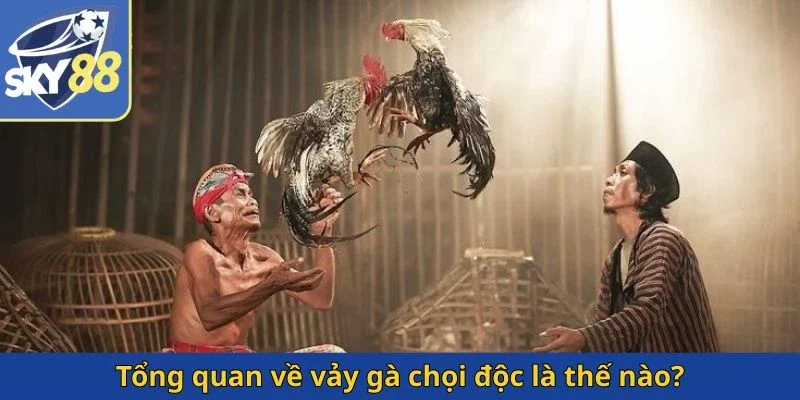 tong-quan-ve-vay-ga-choi-doc-la-the-nao