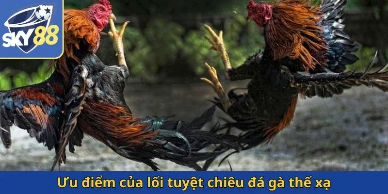 uu-diem-cua-loi-tuyet-chieu-da-ga-the-xa