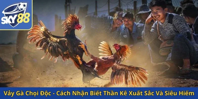 vay-ga-choi-doc-cach-nhan-biet-than-ke-xuat-sac-va-sieu-hiem
